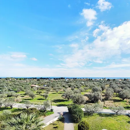 Olive Grove,superior * 아판토우